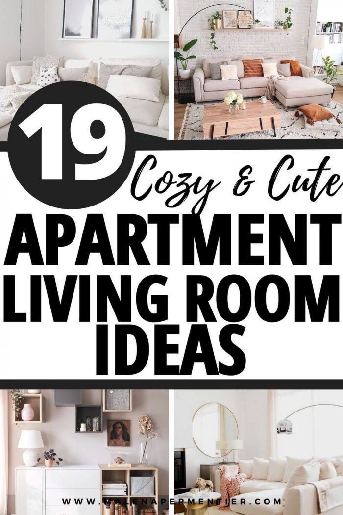 19 Genius Small Apartment Living Room Ideas on a Budget