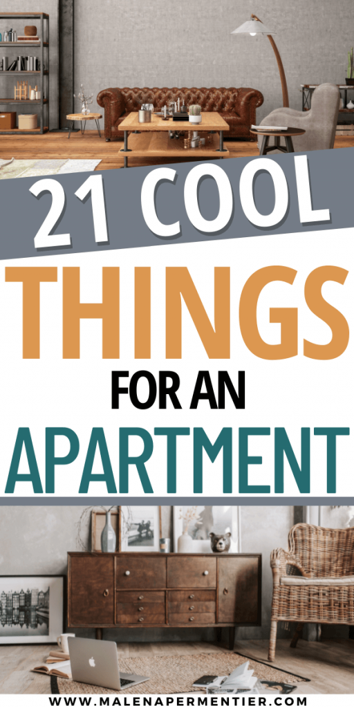 cool things to buy for an apartment