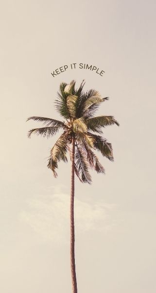 palmtree neutral background