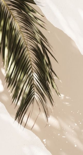 palm leaf wallpaper