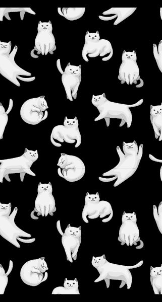 black and white cats background iphone