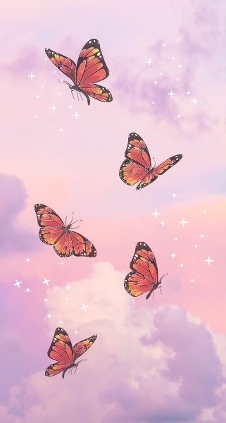 aesthetic butterflies on pink background
