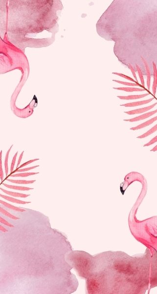 pink flamingos