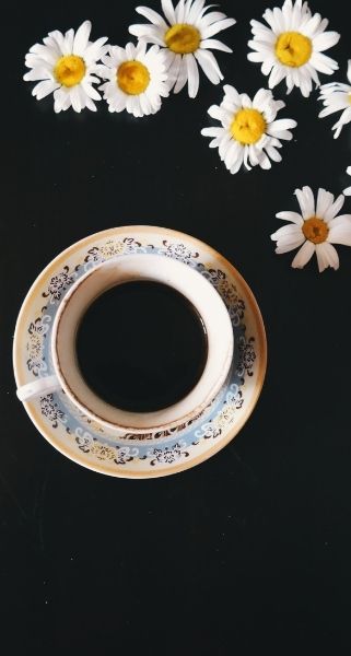 daisy flowers and coffee on black background