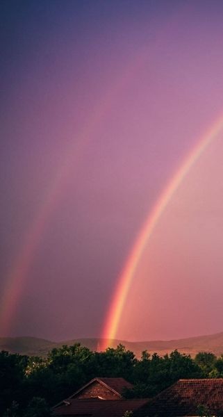 pink rainbow aesthetic