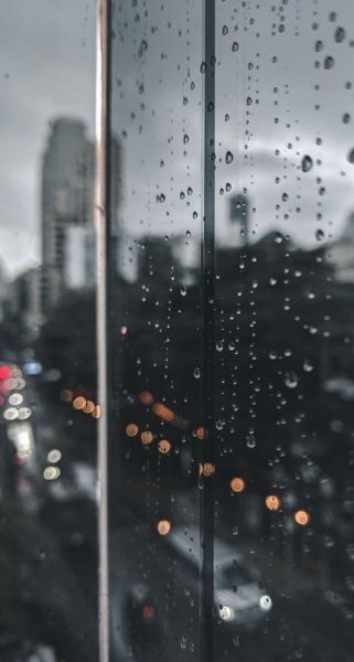 rainy window 