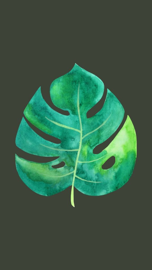 montsera leaf wallpaper