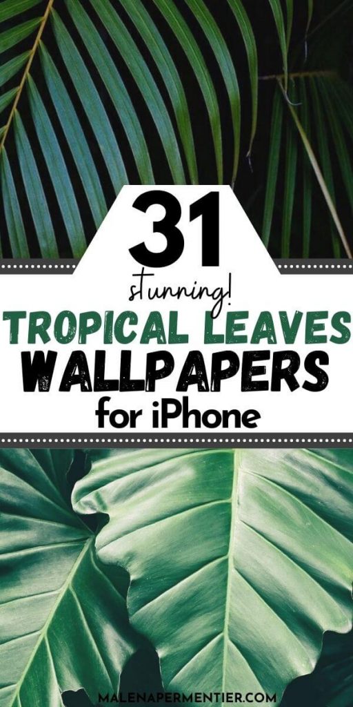 tropical leaves wallpaper