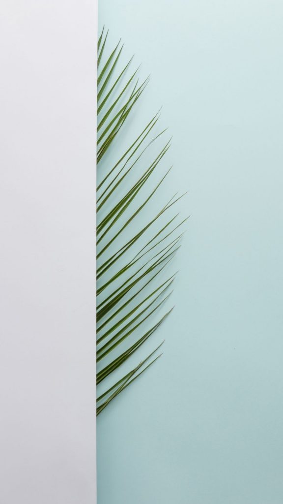 creative palm leaf iphone wallpaper