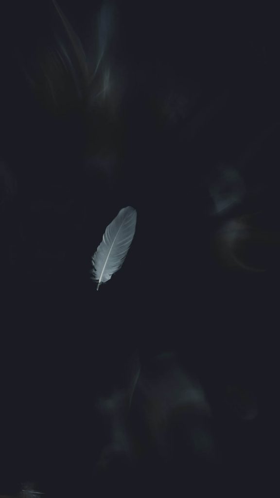 black feather background