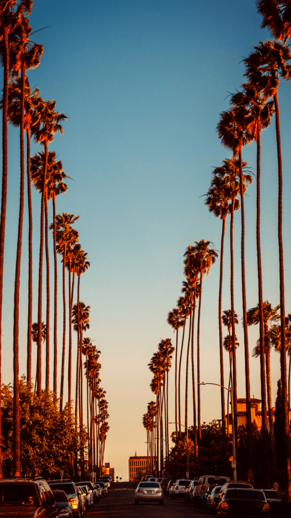 los angeles wallpaper