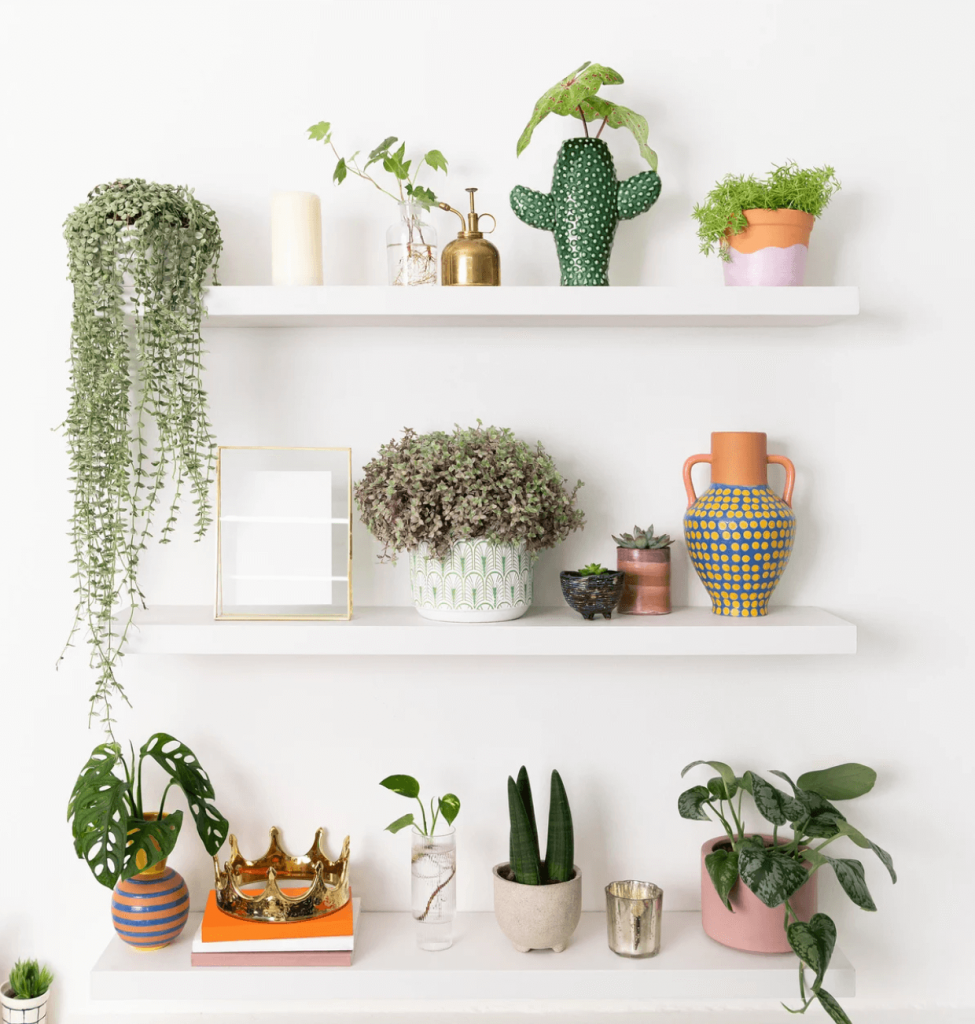 shelves decor ideas