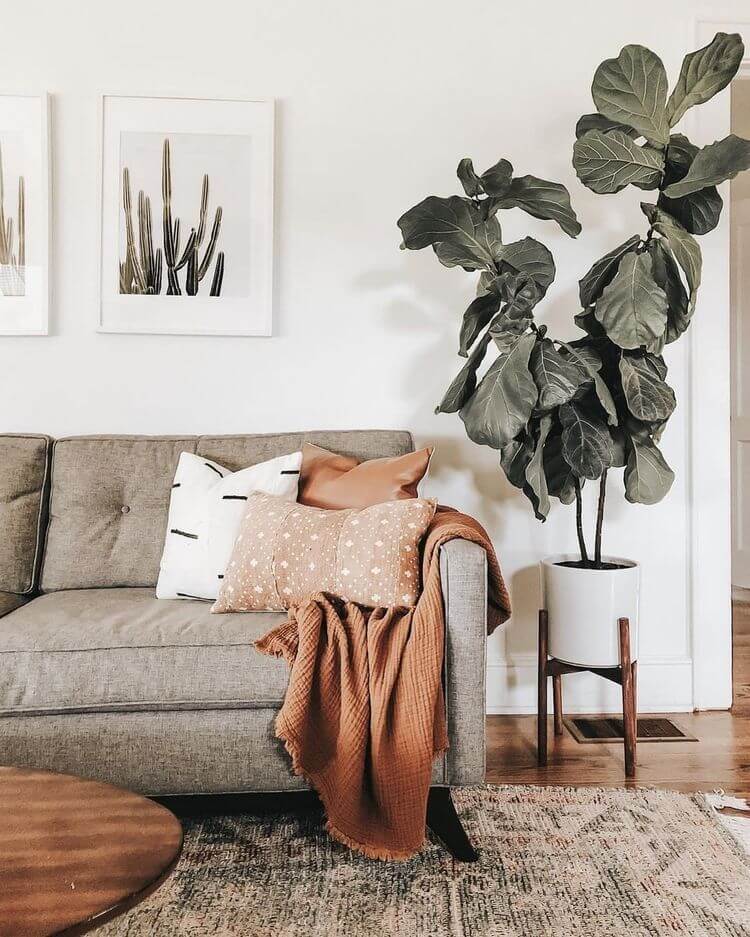 Where to place a online throw on a sofa