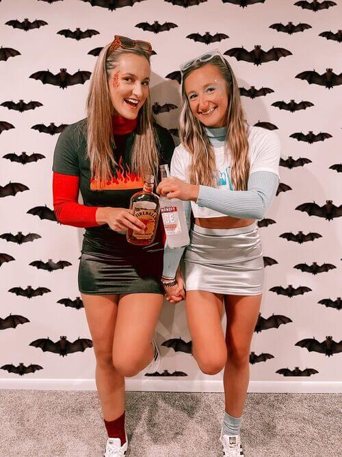 halloween costumes for 2 best friends