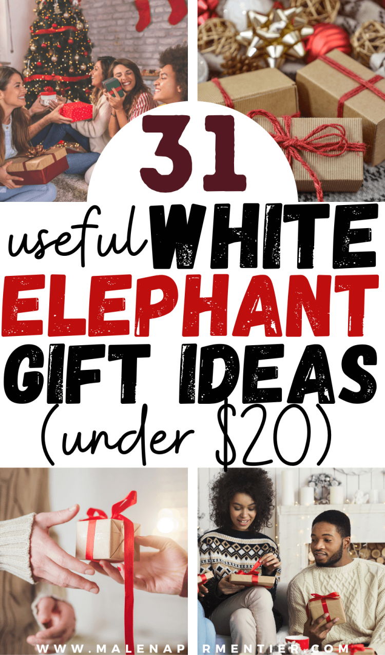 31 Useful White Elephant Gift Ideas Under 20 (Everyone Will Fight Over!)