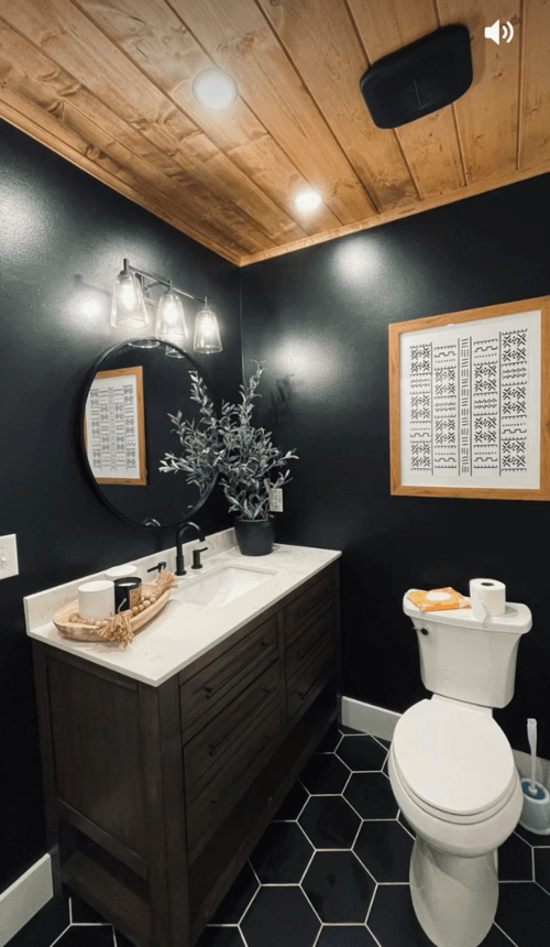 dark paint bathroom