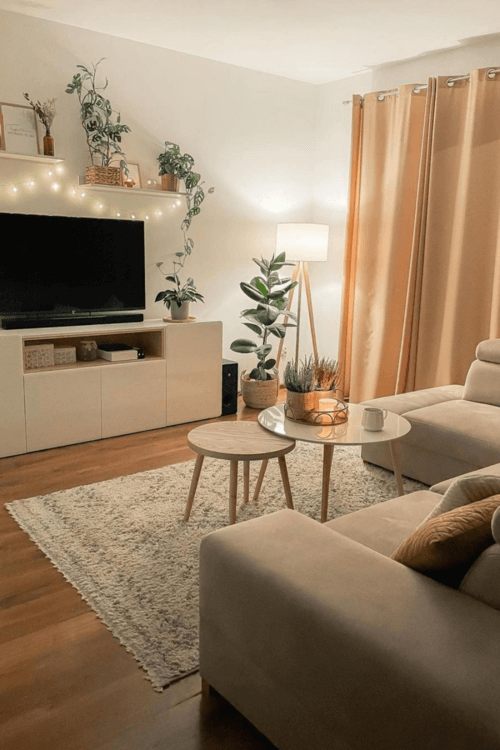 simple small living room decor