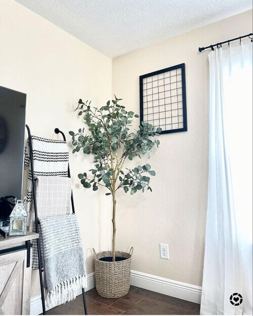 decorate living room corners with plants