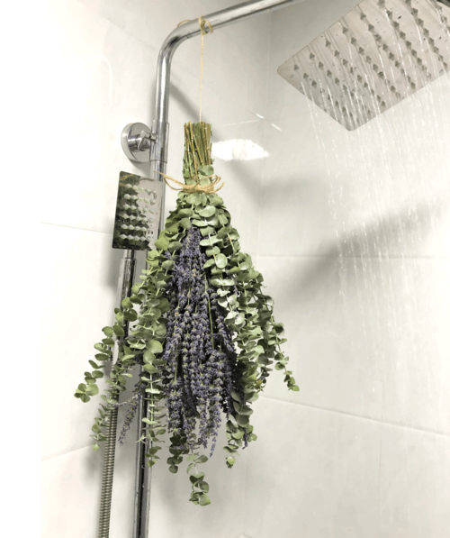 eucalyptus for shower