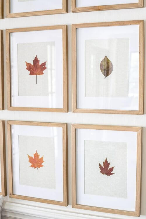 leaf gallery wall