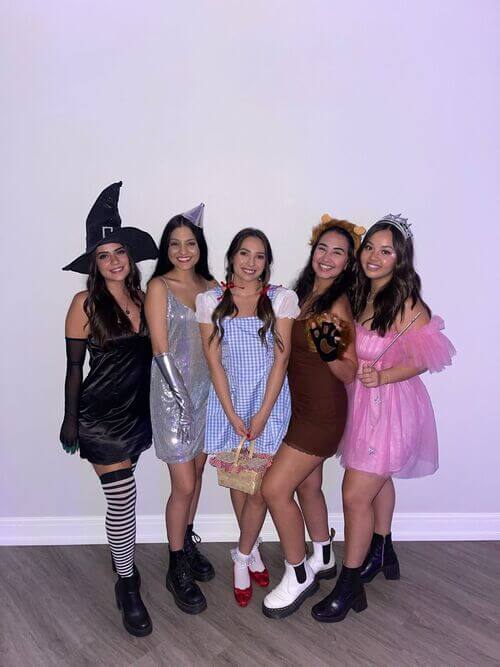 Wizard of Oz Halloween group costume