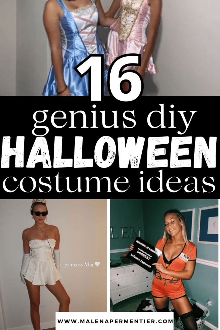 16 DIY Halloween Costume Ideas For Women