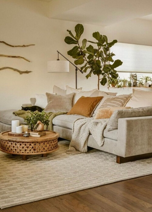 cozy living room home decor