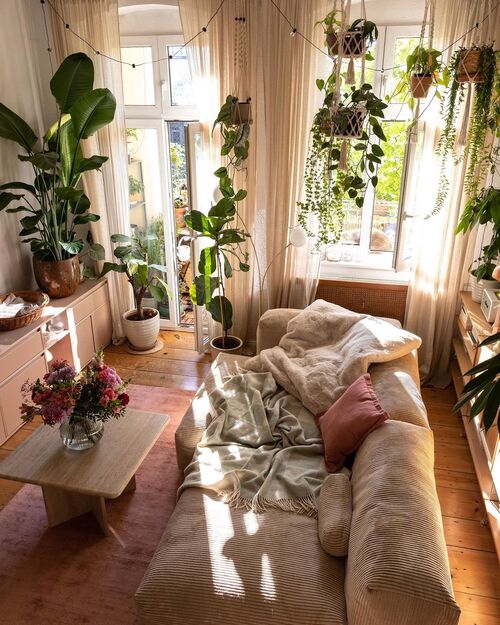 plants decor for small apartment