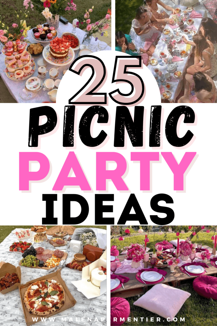 25 Picnic Party Ideas That You Will Absolutely Love