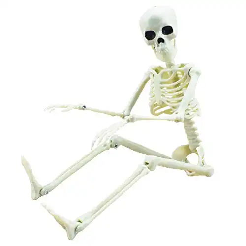 XONOR 16 Posable Halloween Skeleton- Full Body Halloween Skeleton with Movable Joints for Haunted House Props Decorations (1pc)