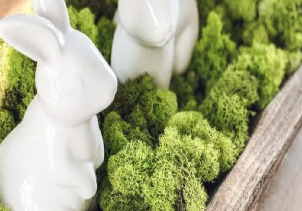 17 Spring Dough Bowl Decor Ideas That Instantly Refresh Your Home